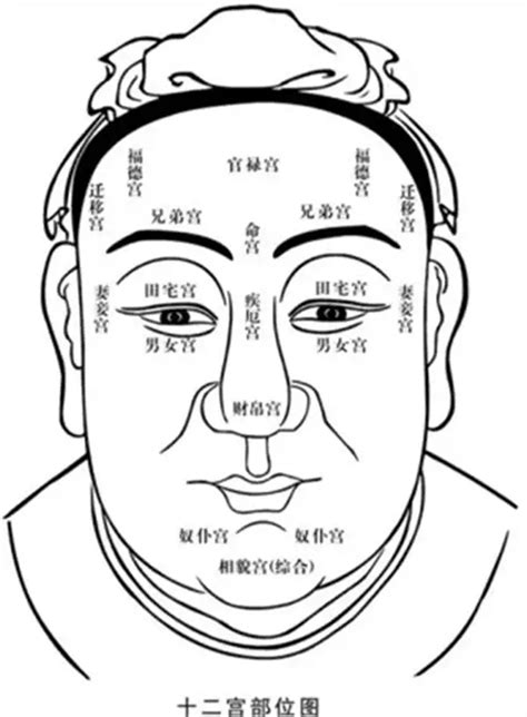 方面面相|面相学